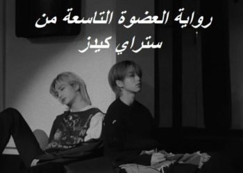 رواية العضوة التاسعة من ستراي كيدز⋆.˚🦋༘⋆ بارت2