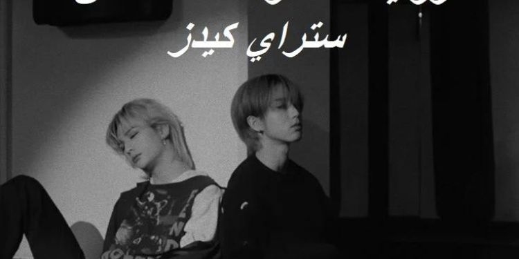 رواية العضوة التاسعة من ستراي كيدز⋆.˚🦋༘⋆ بارت2