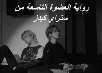 رواية العضوة التاسعة من ستراي كيدز⋆.˚🦋༘( بارت3 )⋆