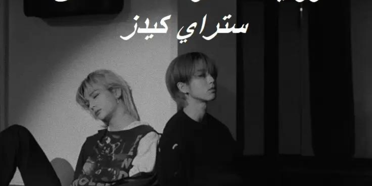 رواية العضوة التاسعة من ستراي كيدز⋆.˚🦋༘( بارت3 )⋆