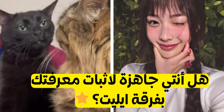 اختبار ايليت ستان : هل أنت مشجع حقيقي لفتيات هايب؟