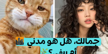 اختبار ما هو أسلوب جمالك ؟