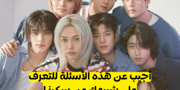 اختبار من تشبه من ستراي كيدز ؟؟