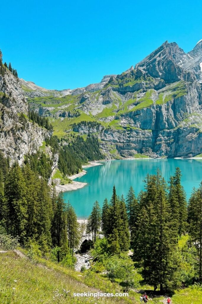 إلى أي دولة آسيوية ينتمي قلبك؟
