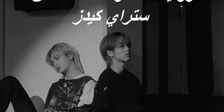 رواية العضوة التاسعة من ستراي كيدز ⋆.˚🦋༘( بارت 8)⋆