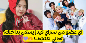 اختبار أي عضو من ستراي كيدز أنت؟