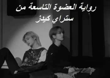 رواية العضوة التاسعة من ستراي كيدز ⋆.˚🦋༘( بارت 10 )⋆