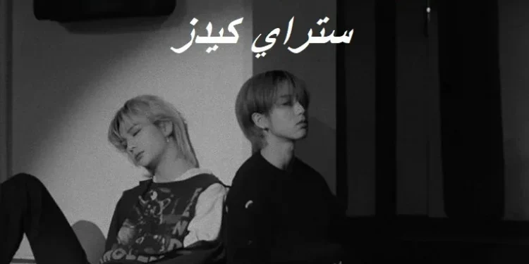 رواية العضوة التاسعة من ستراي كيدز ⋆.˚🦋༘( بارت 10 )⋆