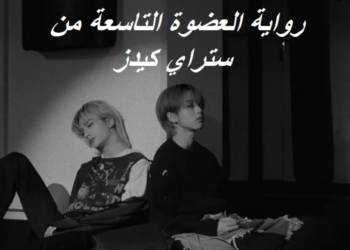 رواية العضوة التاسعة من ستراي كيدز ⋆.˚🦋༘( بارت 9 )⋆