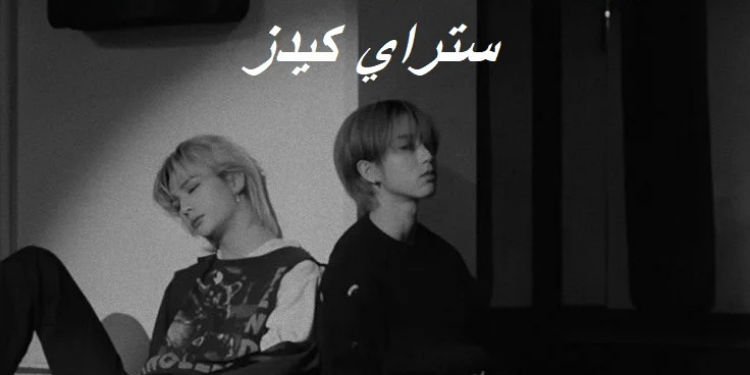 رواية العضوة التاسعة من ستراي كيدز ⋆.˚🦋༘( بارت 9 )⋆