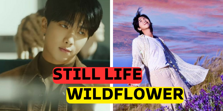 اختبار أي أغنية لنامجون تشبه من ألبوم أنديغو؟