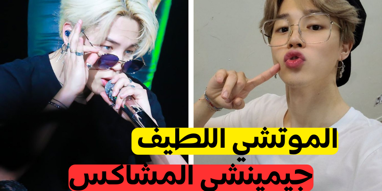 اختبار أي جيمين أنت؟ الموتشي … أم ميني؟