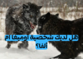 اختبار: هل أنت ألفا، بيتا، أم أوميغا؟