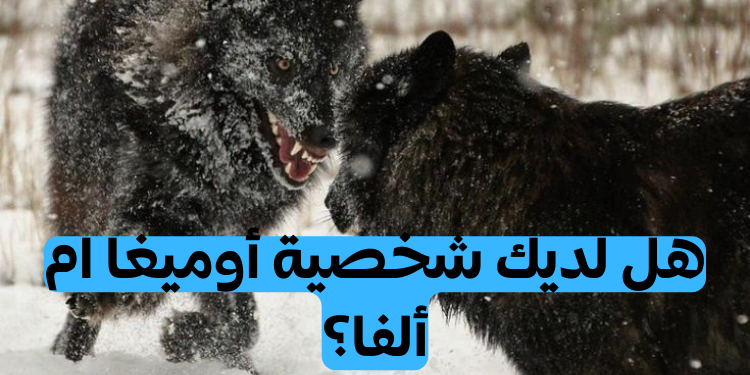 اختبار: هل أنت ألفا، بيتا، أم أوميغا؟