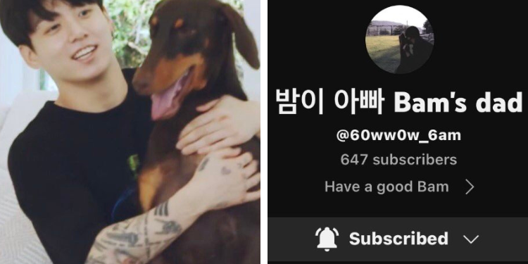 قناة جونغكوك على اليوتيوب : آراء