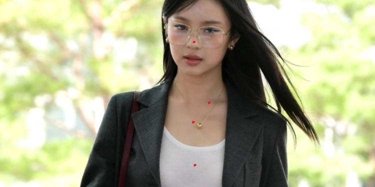 هاني في كوريا بشكل غير قانوني: آراء الكوريين