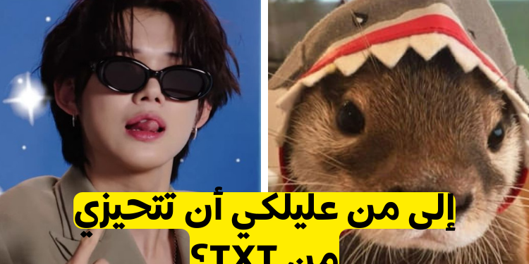 اختبار من يجب أن يكون تحيزك من TXT؟