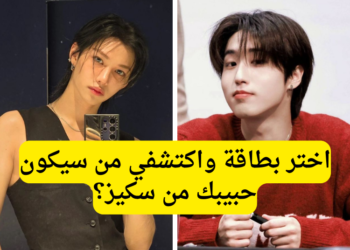 لعبة الحب: تحدي من هو مواعدك من ستراي كيدز