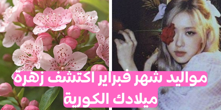 ما هي زهرة ميلادك الكورية - فبراير؟