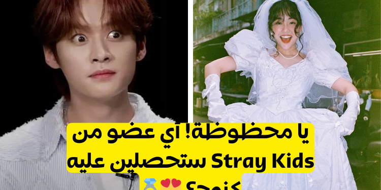 اختبار من هو زوجك من ستراي كيدز؟