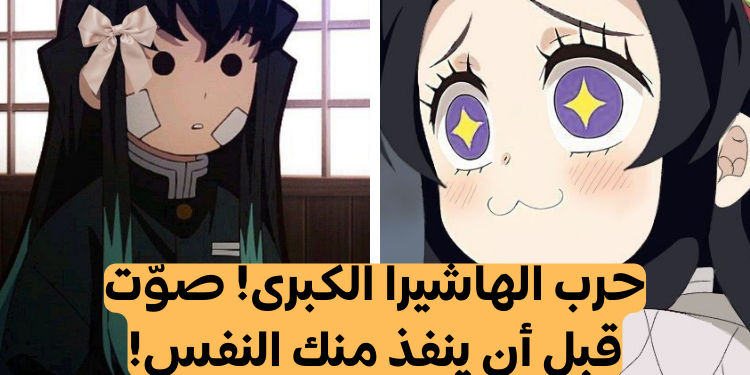 تصويت: من هو أفضل هاشيرا من انمي ديمون سلاير؟✨🍡