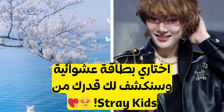 اختاري بطاقة و اكتشف شريكك من ستراي كيدز؟