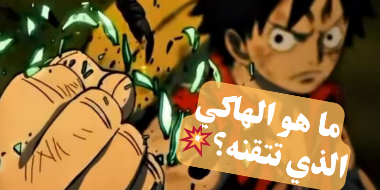 اختبار أي نوع من الهاكي تتقن في عالم ون بيس بناء على اجاباتك الصادقة؟