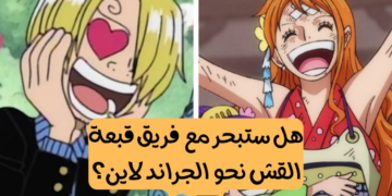 اختبار قبعة القش من ون بيس : ستكون عضوا في فريق لوفي إذا حصلت على 10/10