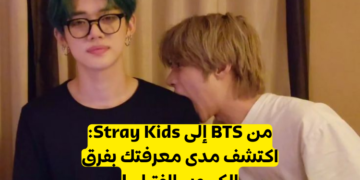 اختبار فرق الكيبوب الفتيان: كم تعرف عن هذا العالم؟