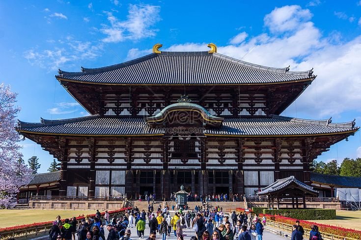 اختبار سافر إلى اليابان واكتشف من تشبه من ديمون سلاير