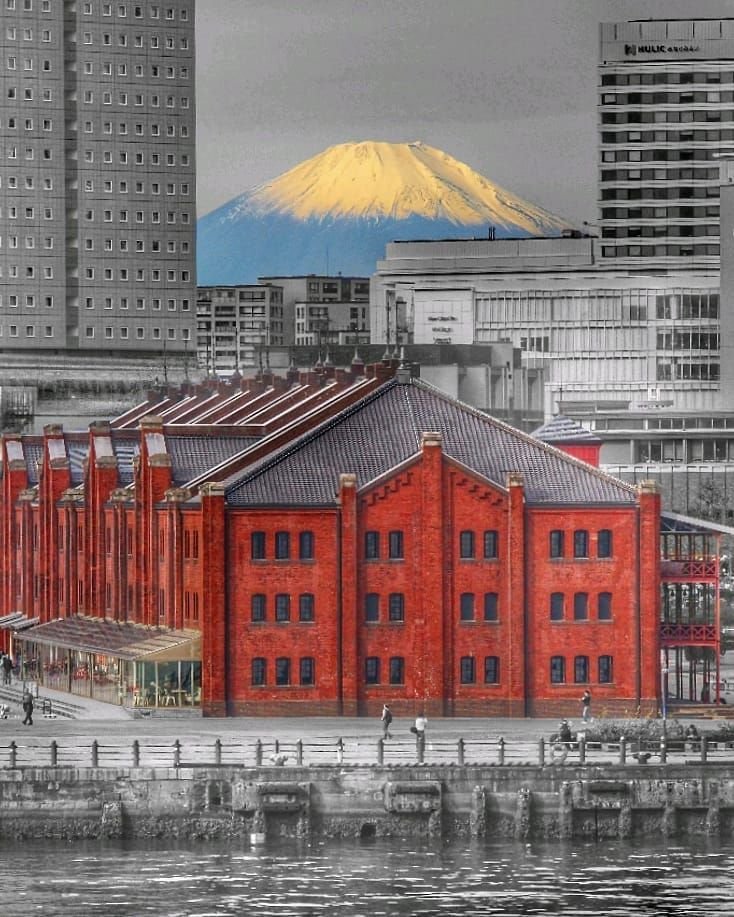 الطوب الأحمر