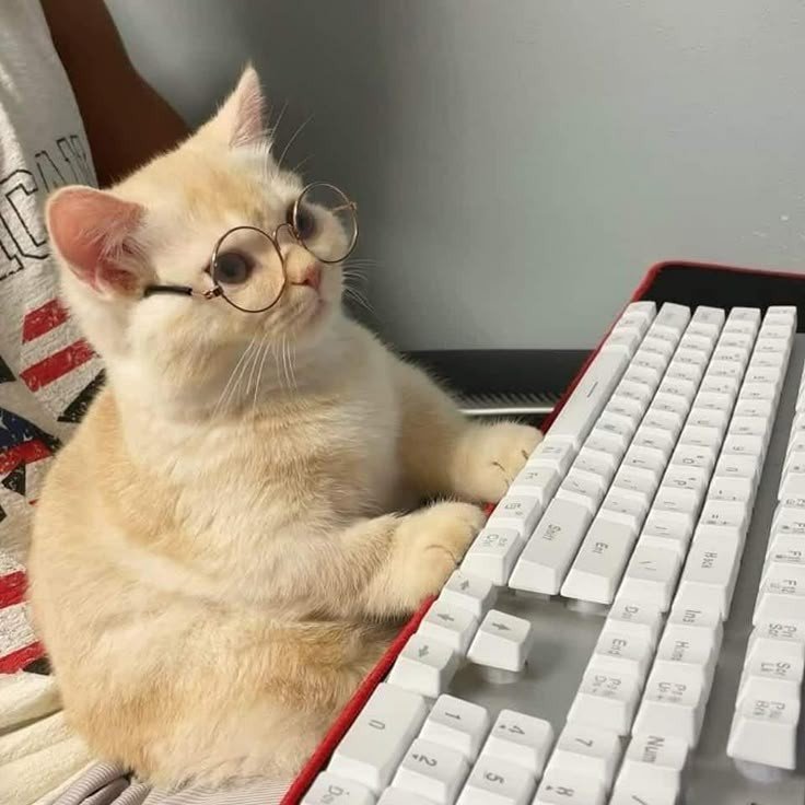 اختبار هل أنت شخص ذكي بنسبة 100%؟