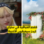 اختبار تخمين اغاني ستراي كيدز من خلال صور MV