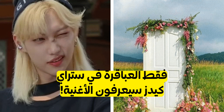 اختبار تخمين اغاني ستراي كيدز من خلال صور MV