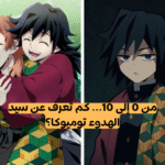 اختبار توميوكا من انمي ديمون سلاير