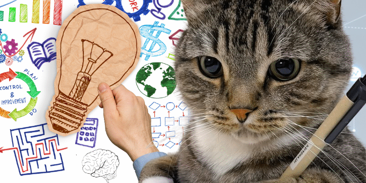 تحدي صح أم خطأ: هل أنت عبقري أم تحتاج إلى شحن معرفي؟