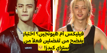 تحدي فيليكس ستان أم هيونجين ستراي كيدز ستان ؟ جربي تحدي Stray kids