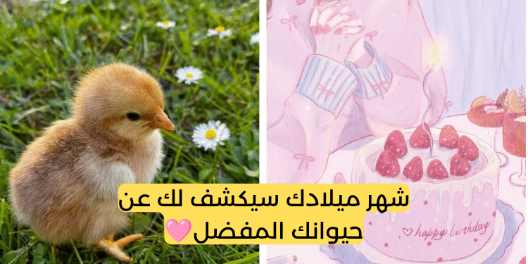 اختبار :حسب شهر ميلادك نعرف حيوانك المفضل؟