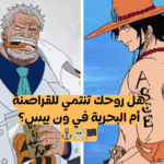 اختبار هل ستكون قرصان ام ادميرال من انمي ون بيس