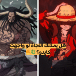 اختبار كايدو من ون بيس؟