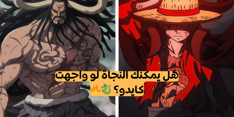 اختبار كايدو من ون بيس؟