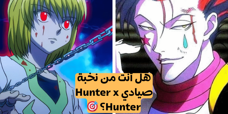 هنتر اكس هنتر: لم تفوتك أي حلقة إذا حصلت على 7/10 على الأقل في اختبار الأنمي هذا