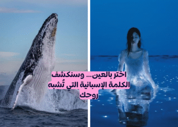 قومي بإجراء هذا الاختبار البصري وسنخبرك بالكلمة الاسبانية التي تتناسب مع شخصيتك.