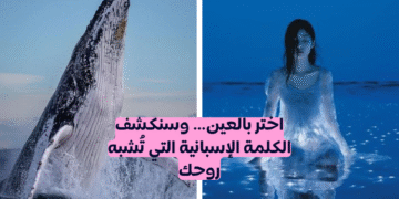 قومي بإجراء هذا الاختبار البصري وسنخبرك بالكلمة الاسبانية التي تتناسب مع شخصيتك.