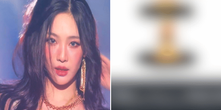 نينغ نينغ متهمة بالسخرية من اليابانيين ومطالب بإلغاء عرض ايسبا في كوهـاكو