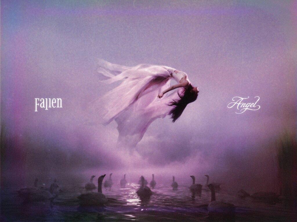 جيني تواجه اتهامات خطيرة بالسرقة الأدبية قبل اصدار Fallen Angel